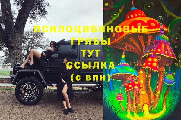 прущие грибы Остров