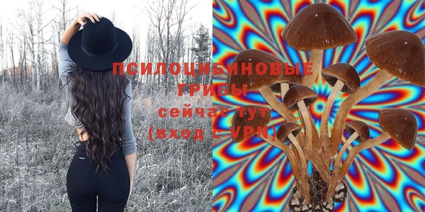скорость Осинники