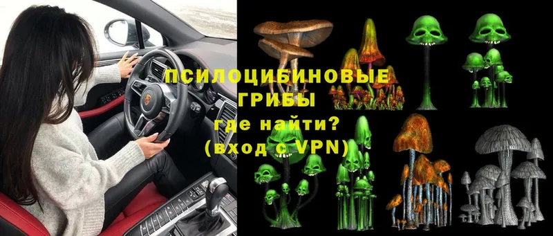 магазин продажи   Серафимович  Псилоцибиновые грибы MAGIC MUSHROOMS 