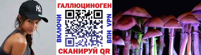 Псилоцибиновые грибы Psilocybine cubensis  как найти закладки  Серафимович 